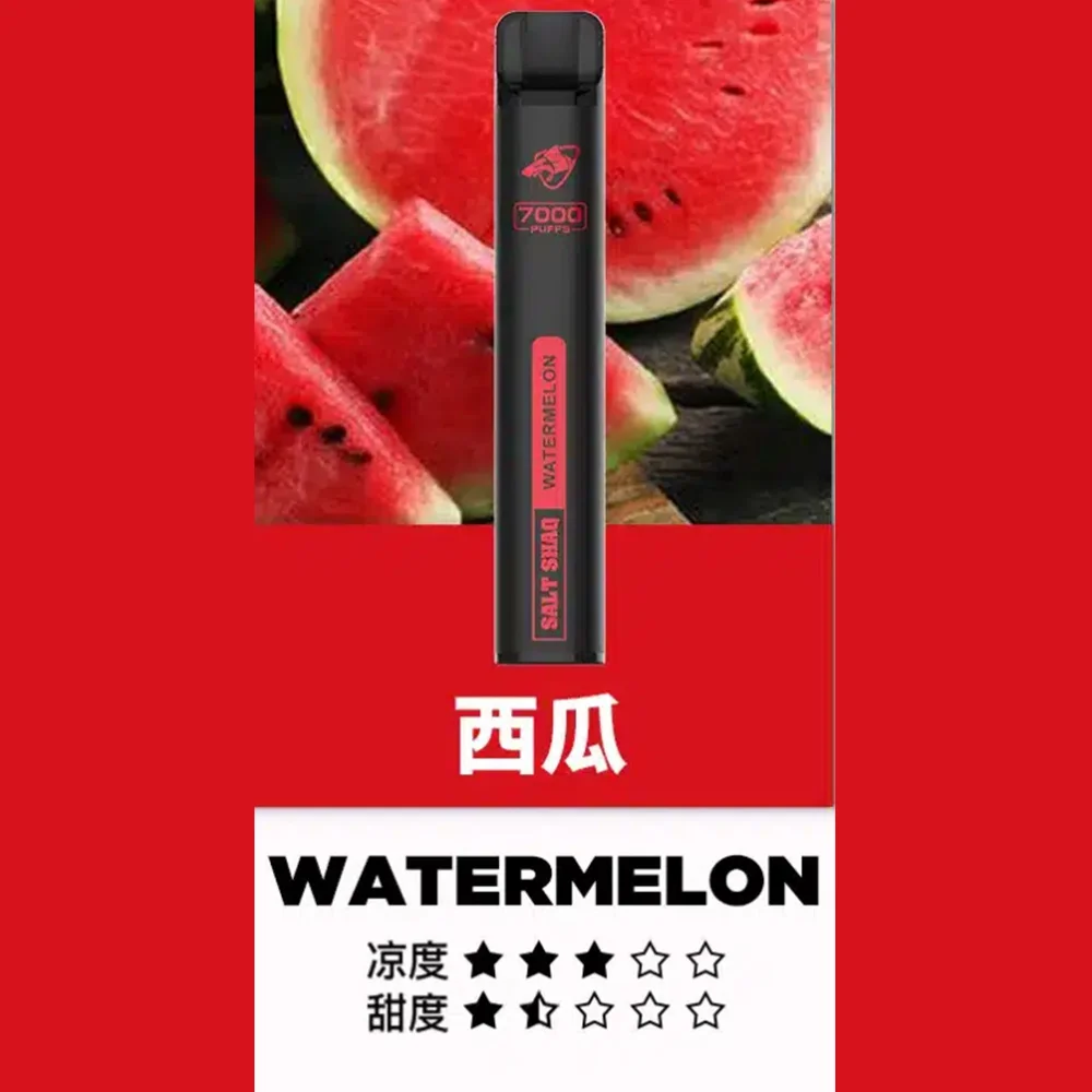 SALT SHAQ鯊克小黑條一次性電子煙 7000口 西瓜